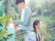 Download Drama China Midsummer is Full of Love Subtitle Indonesia