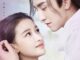 Download Drama China Twisted Fate of Love Sub Indo