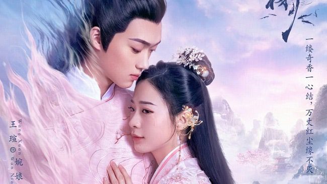 Download Drama China Scent of Love Subtitle Indonesia