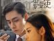 Download Drama China See You Again Subtitle Indonesia