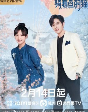 Download Drama China Perfect Mismatch Subtitle Indonesia