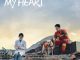 Download Drama China Fireworks of My Heart Subtitle Indonesia