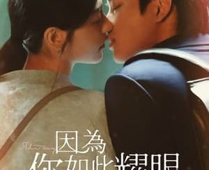 Download Drama China The Way You Shine Subtitle Indonesia