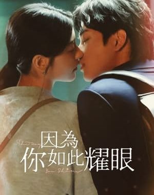 Download Drama China The Way You Shine Subtitle Indonesia