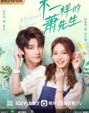Download Drama China A Different Mr. Xiao Subtitle Indonesia