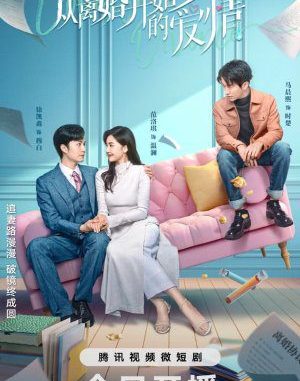 Download Drama China Love from Divorce Subtitle Indonesia