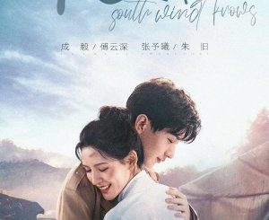 Download Drama China South Wind Knows Subtitle Indonesia