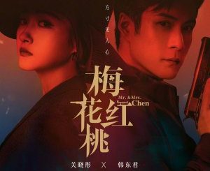 Download Drama China Mr & Mrs Chen Subtitle Indonesia