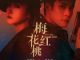 Download Drama China Mr & Mrs Chen Subtitle Indonesia
