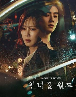 Download Drama Korea Wonderful World Subtitle Indonesia